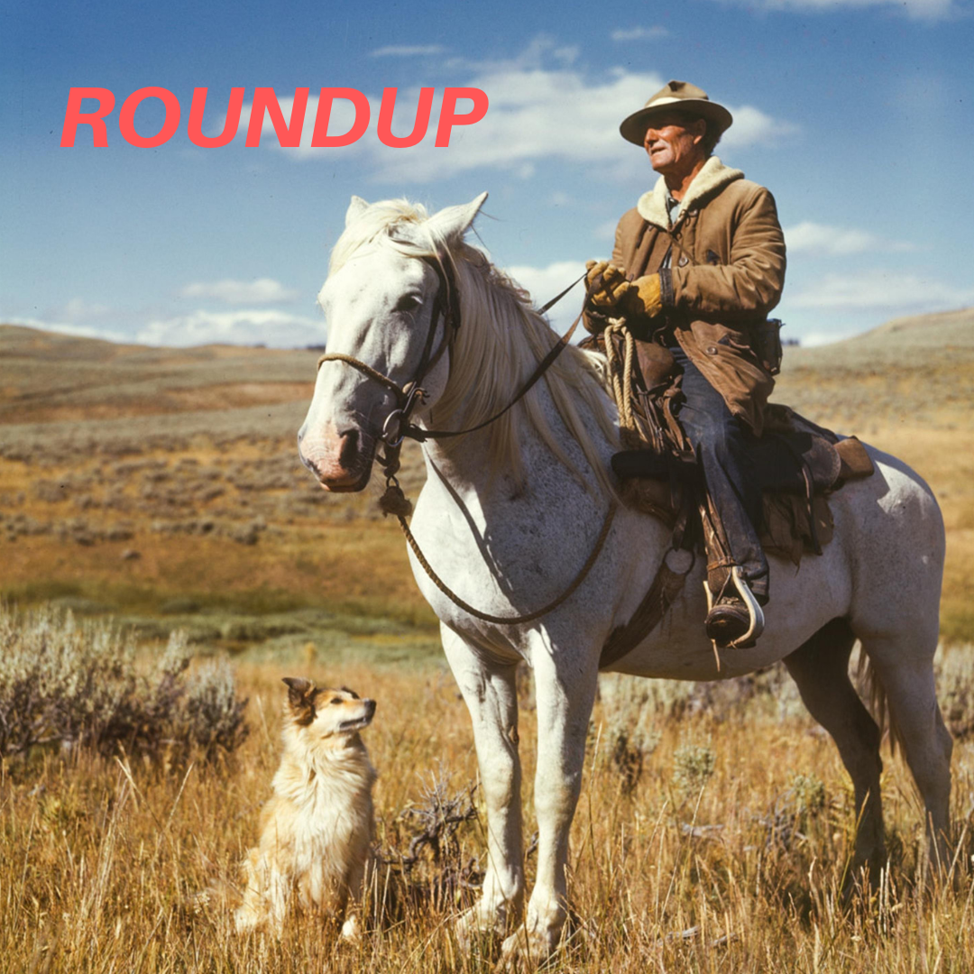 Introducing ROUNDUP (the blog version)